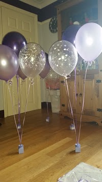 Balloons And Banners Party Decorator and Helium Balloons 1074824 Image 5